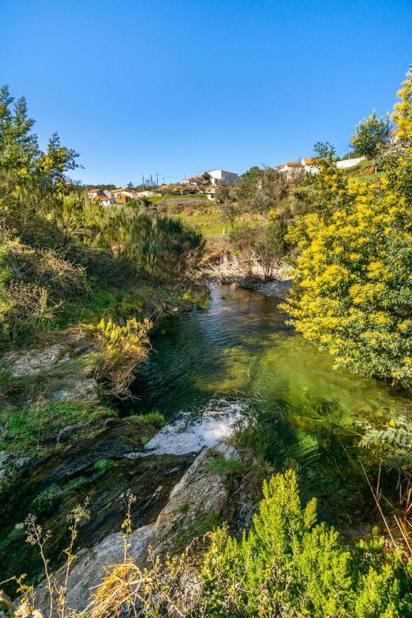 Casa da Oliveira: Aradas Retreat with Wi-Fi, AC, and Barbecue Unhais-o-Velho Exterior photo
