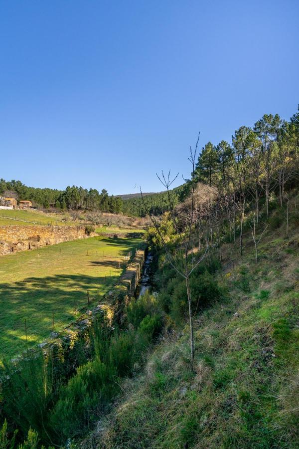 Casa da Oliveira: Aradas Retreat with Wi-Fi, AC, and Barbecue Unhais-o-Velho Exterior photo